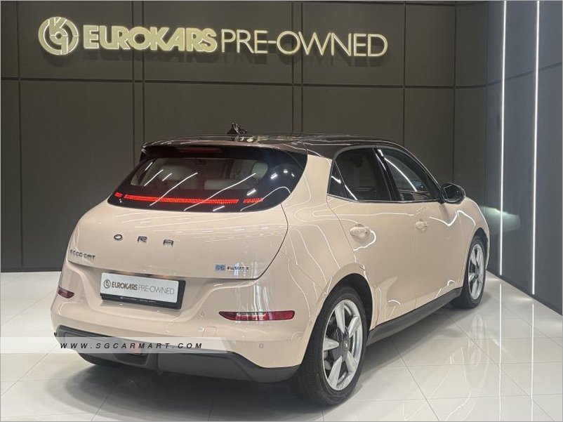 ORA Good Cat Electric Sunroof