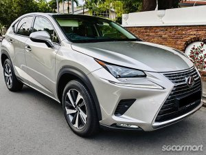 Lexus NX Turbo NX300 Luxury Moonroof