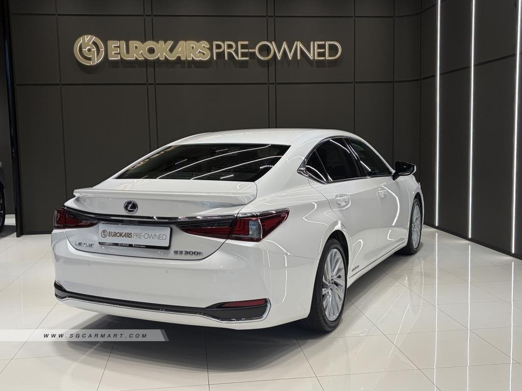 Lexus ES Hybrid ES300h Luxury