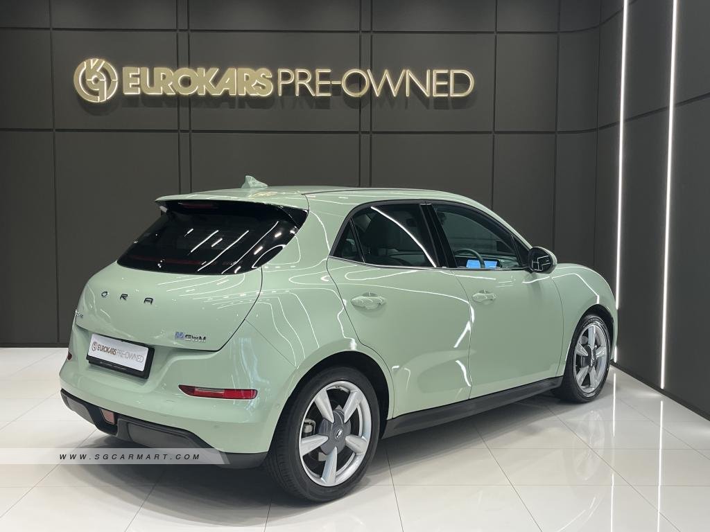 ORA Good Cat Electric Sunroof