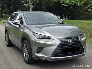 Lexus NX Turbo NX300 Executive