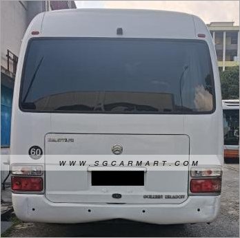 Golden Dragon Xml6 2023 photo 3