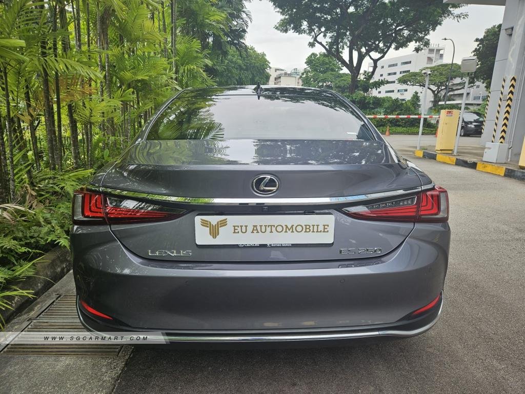 Lexus Es250 2019 photo 3