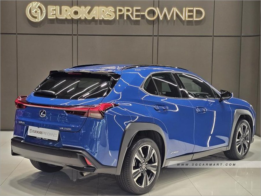 Lexus UX Hybrid UX250h Luxury