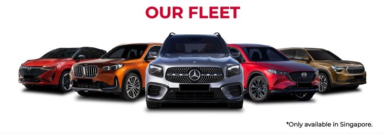 Our fleet