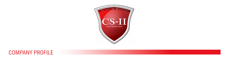 CS 11