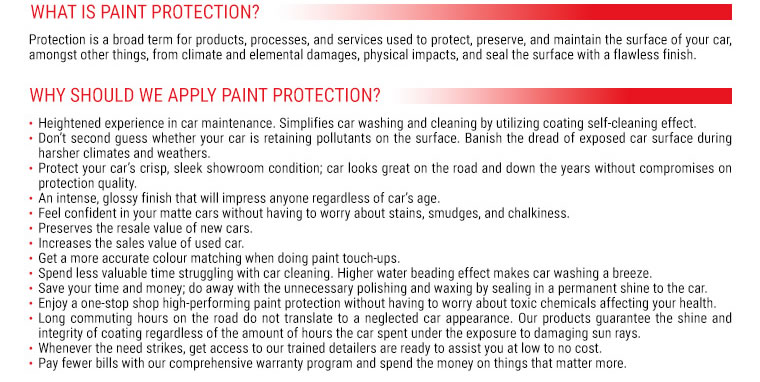 Paint Protection