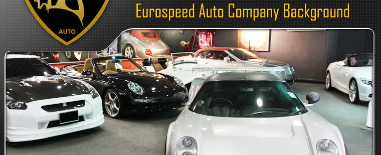 Eurospeed Auto Company Background