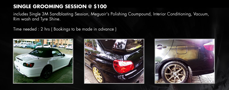 Single grooming session @ $100