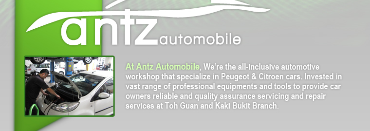 Antz Automobile