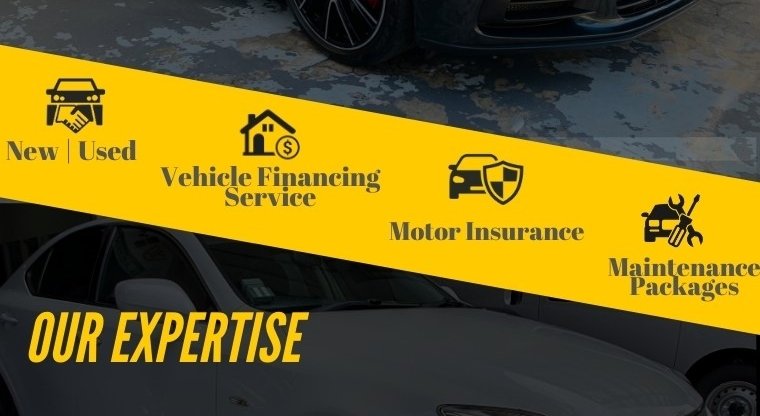 Our Expertise