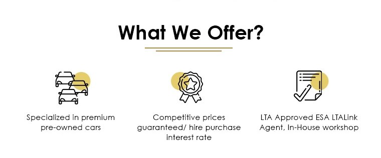 What we offer