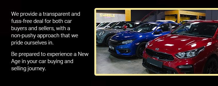 We provide