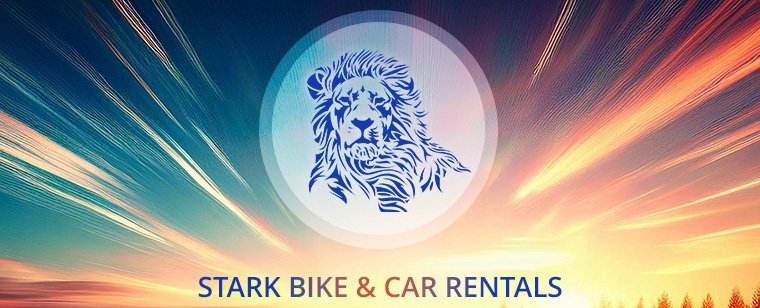 Stark Bike