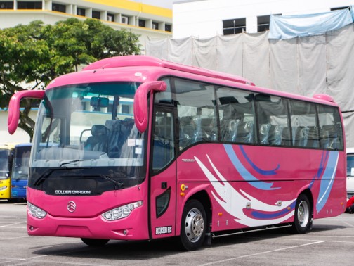 New Golden Dragon XML6957 Photos, Photo Gallery - sgCarMart