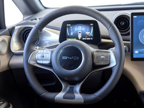 BYD Dolphin Electric 10