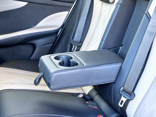 BYD Dolphin Electric 22