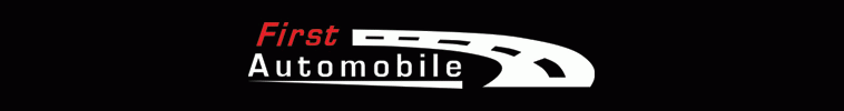 First Automobile Group