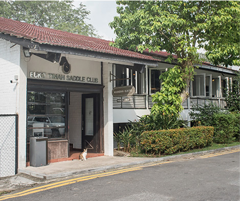 Bukit timah saddle club
