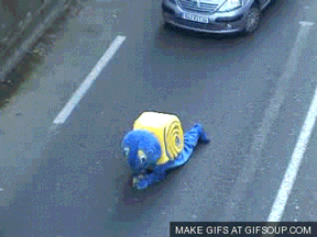 snail