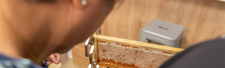 Honey