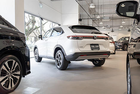 showroom 2