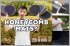 Should you upgrade to honeycomb car mats?