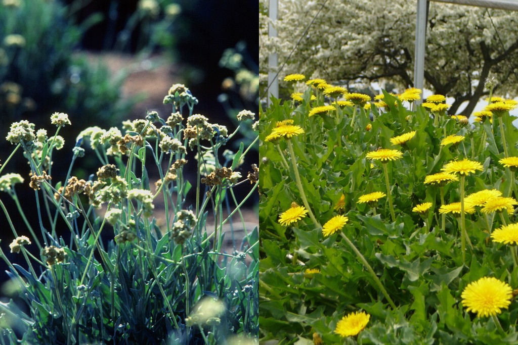 Bridgestone Announces Future Tyre Technologies Sgcarmart