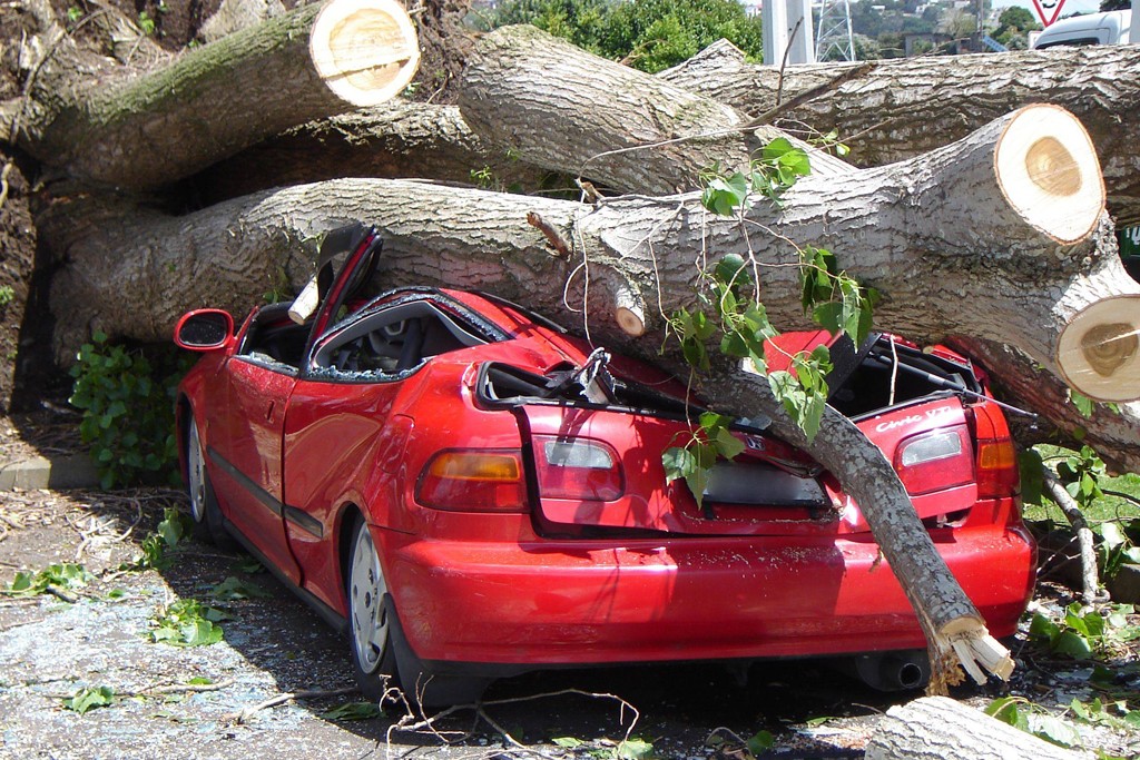 Nature Shows Its Might As Fallen Trees Crush Two Cars Traps Two People