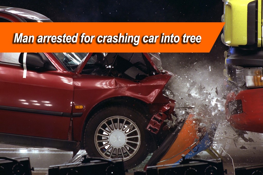 Driver arrested for crashing car into tree - Sgcarmart
