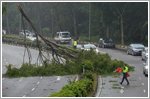 Fallen branches and uprooted trees block traffic cause damage to three cars