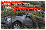 Traffic jams caused by fallen trees from storm