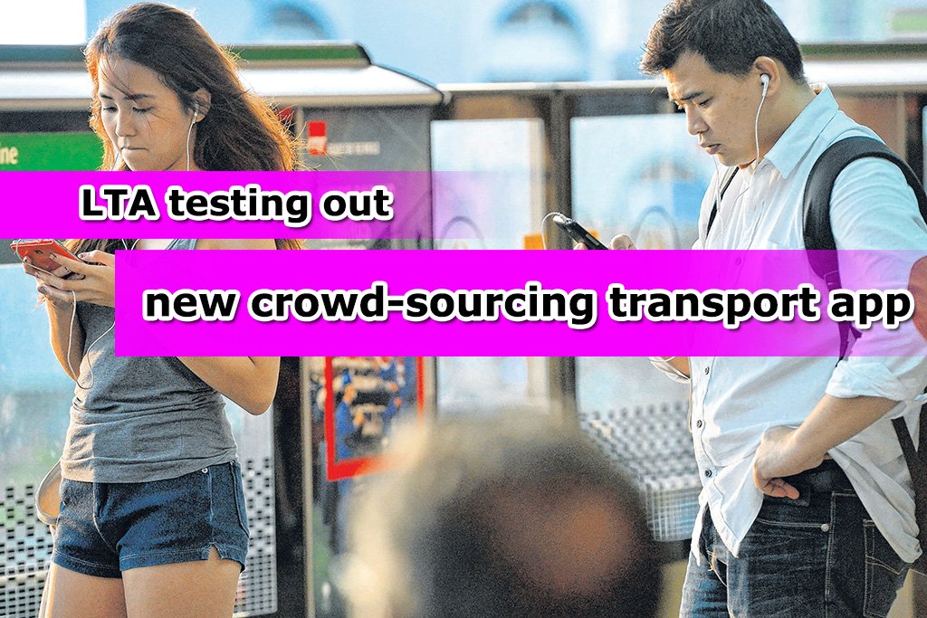 New crowd-sourcing transport app lets users create own bus routes ...