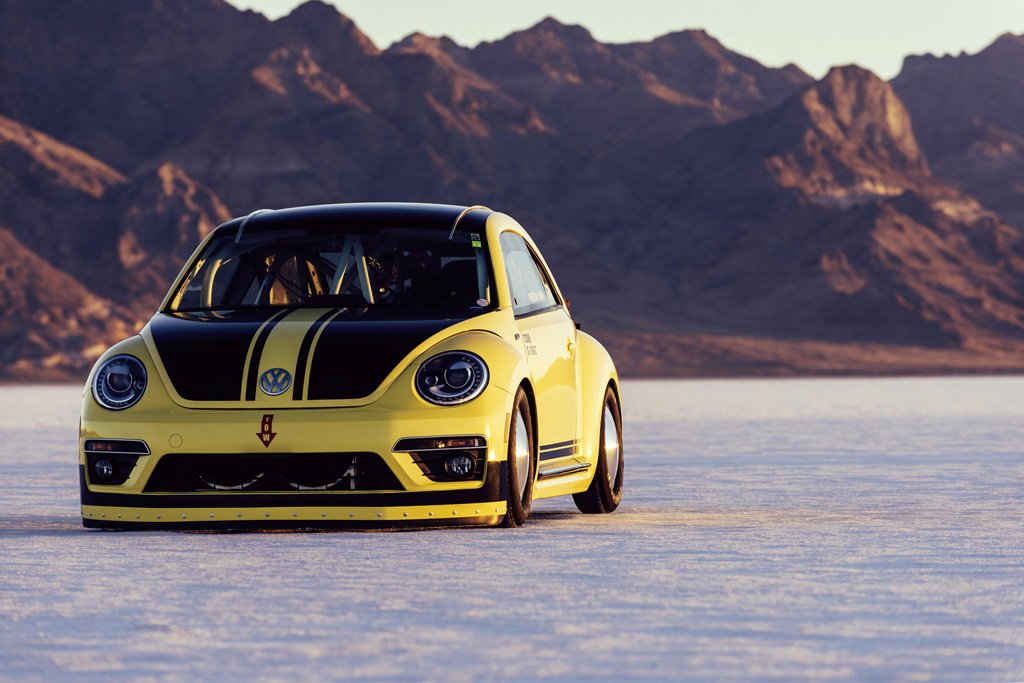 World's fastest Beetle