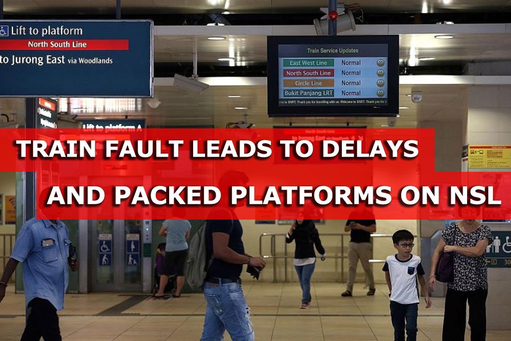 Train Fault Leads To Delays And Packed Platforms On North-South Line