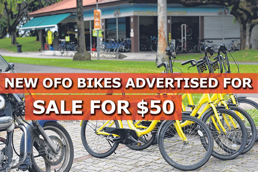 Ofo bike cheap for sale