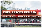 Fuel prices remain despite sharp plunge in oil prices