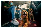 Big dogs allowed! Grab expands suite of premium transport offerings with GrabPet XL and GrabCar Exec
