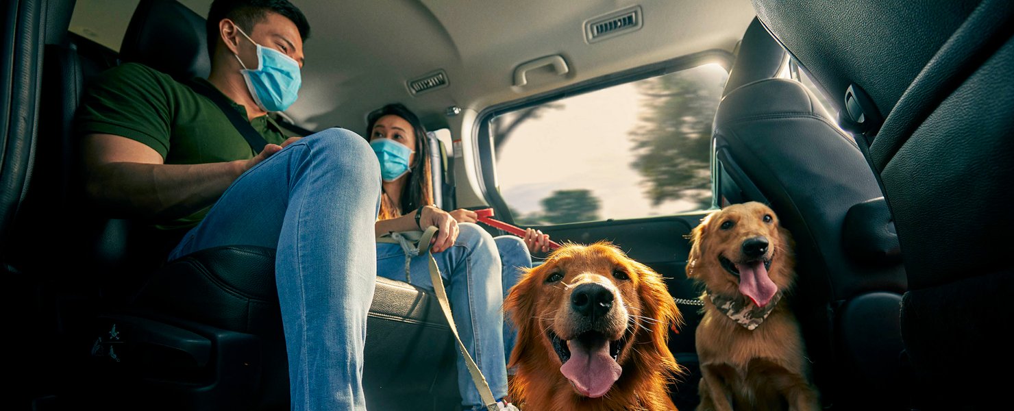 Big dogs allowed! Grab expands suite of premium transport offerings