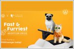 Join the VW Fast and Furriest adoption drive on 8 October