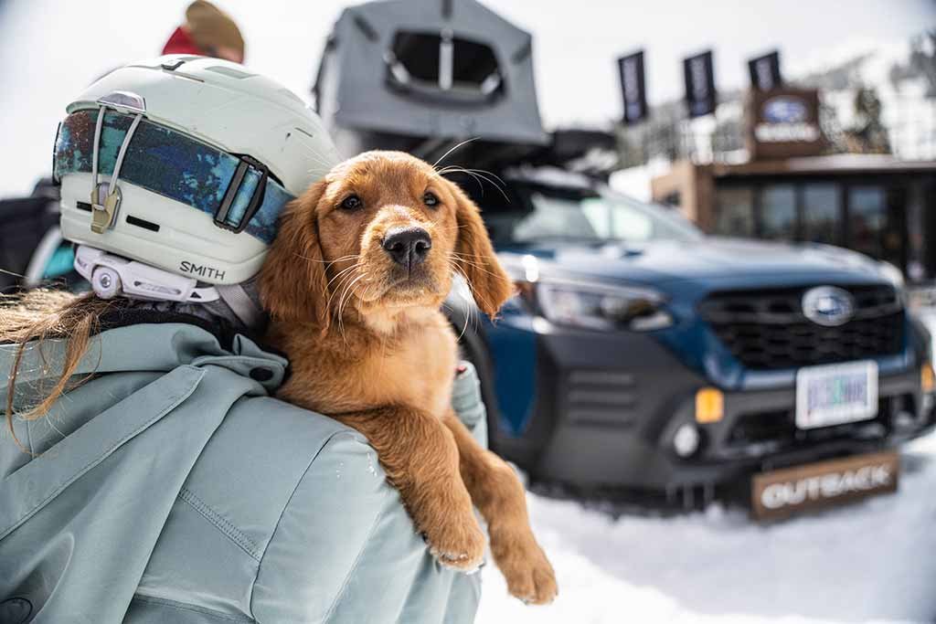 Subaru celebrates the Annual Subaru WinterFest