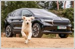 Skoda U.K. publishes advice to keep your dogs cool