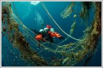 Hyundai renews partnership with marine conservation organisation Healthy Seas