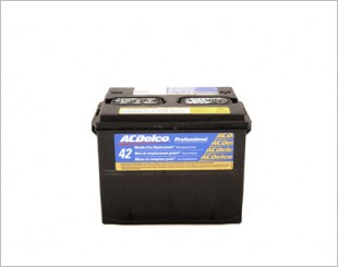 ACDelco Professional 7-Year Battery