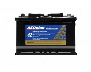 ACDelco Professional Gold Battery