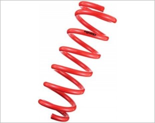 Tanabe NF210 Lowering Spring
