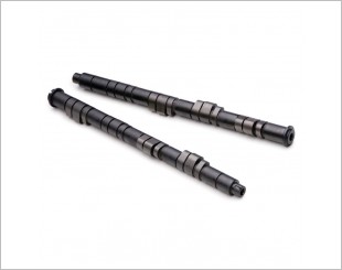 Skunk2 Pro Series Camshaft