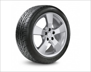 BF Goodrich G-Force Sport Tyre