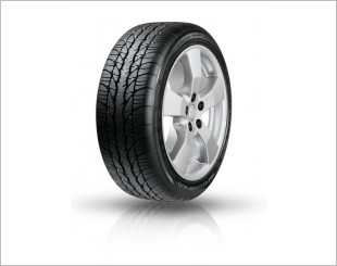 BF Goodrich G-Force Super Sport A/S Tyre