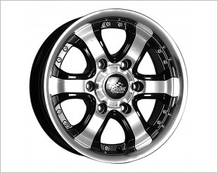 S099 Muscular 15